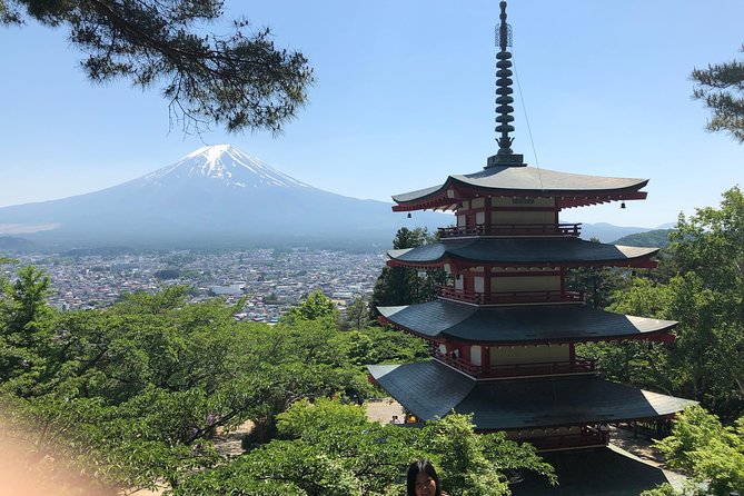 Mt.Fuji & Hakone Tour, From-To Tokyo/Yokohama/Odawara, 2-12guests - Departure and Group Size