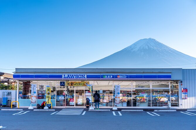 Mt Fuji Kawaguchi/Hakone/Yokohama Tokyo Customize Private Car - Customized Itinerary Options