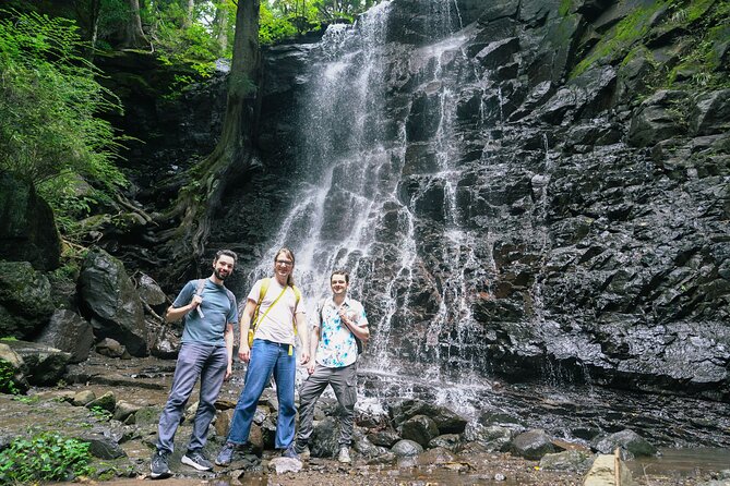 Mt. Fuji Private Chartered Tour With Nature & Wasabi Farm - Booking Information