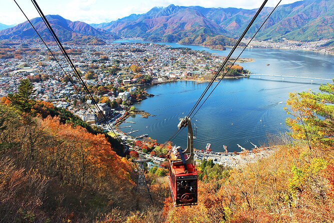 Mt.Fuji Private SightSeeing Day Tour (From Tokyo) - Booking Information