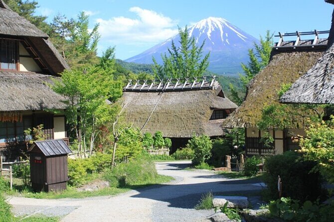 Mt. Fuji Private Tour From Tokyo With English Guide - Additional Information