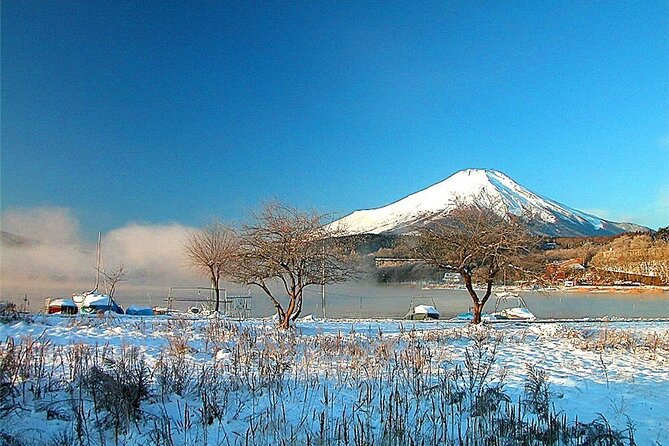 Mt Fuji Private Tour With Daily Chauffeur - Flexibility in Scheduling
