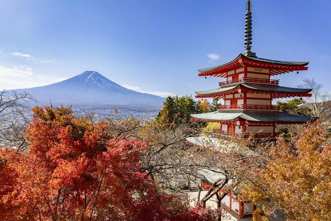 Mt. Fuji Roundtrip Tours From Shinjuku, Japan - Important Information