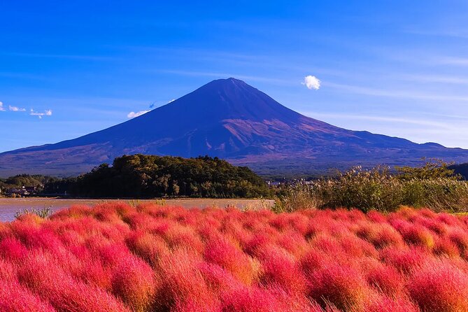 Mt Fuji Scenic Views and Lake Kawaguchi Floral Tour From Tokyo - Booking and Cancellation Policy