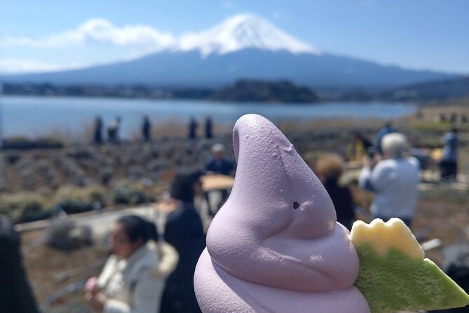 Mt Fuji With Kawaguchiko Lake Day Tour - Reviews and Feedback