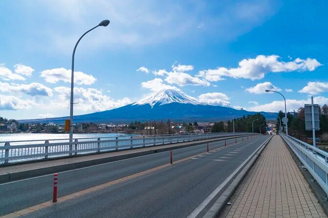 Mt. Fuji's Fifth Station & Lake Kawaguchiko Cycling Tour - Accessibility