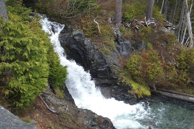Mt Rainier Private Tour Experience in SUV - Exploring Mt. Rainier National Park