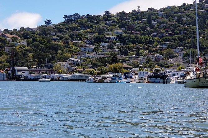 Muir Woods and Sausalito Afternoon Tour Small-Group Half-Day - Discovering the Charming Sausalito