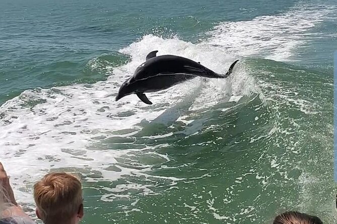 Myrtle Beach Dolphin Cruise - Included Features and Accessibility