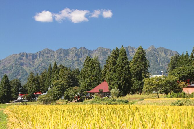 Nagano All Must-Sees 4hr Private Tour With Licensed Guide - Cost Breakdown and Cancellation Policy