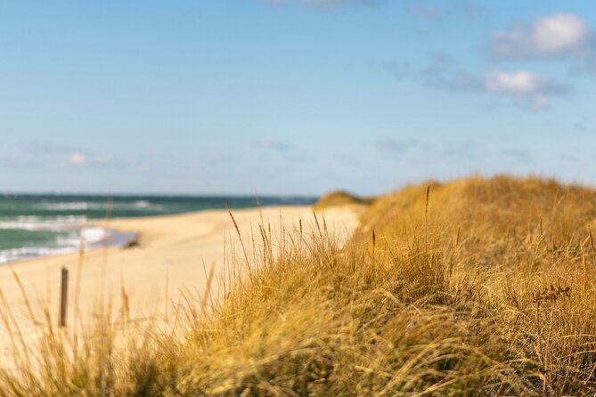 Nantucket Coast to Coast Tour Review - Exploring the Island