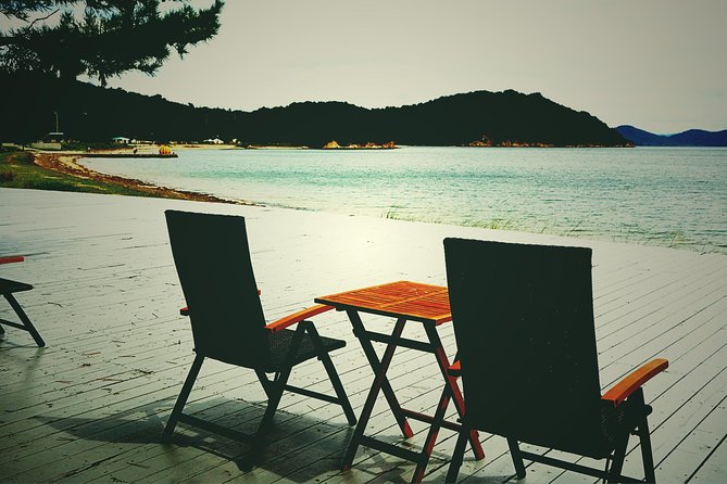 Naoshima Private Tour by Licensed Tourguide - Chichu Museum and Advance Ticket Purchases