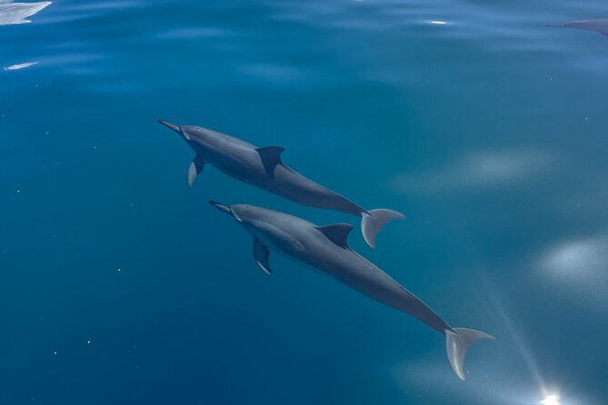 NaPali Boat Tour on the Amelia K - Customer Reviews