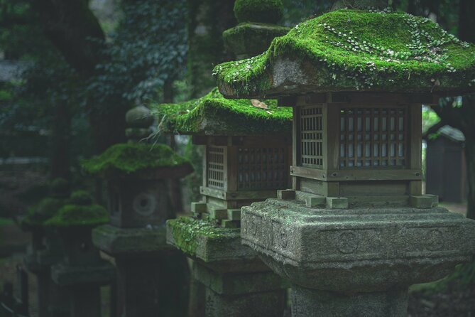 Nara Culinary Tour With a Chef! - Exploring Naras Culinary Delights