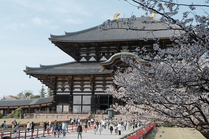 Nara Heritage Walkabout From Nara Park to Todaji Temple - Unique Cultural Experiences