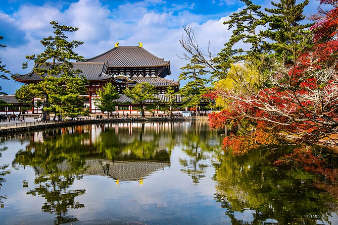 Nara Private Tour With Pick and Drop and English Speaking Driver - Exploring Nara Park