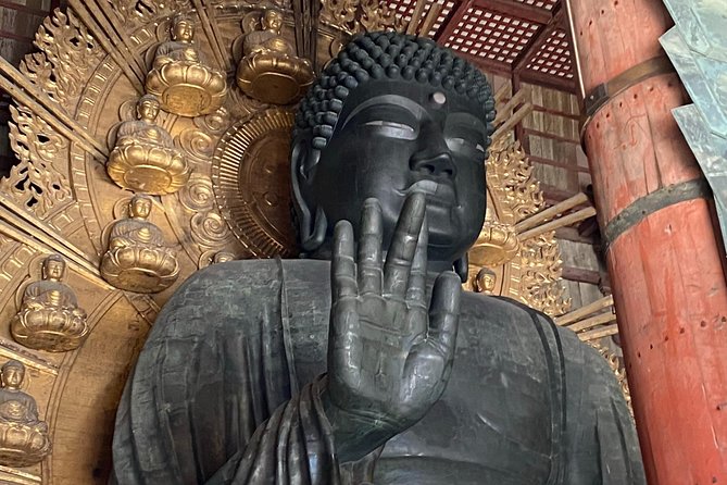 NARA Walking Tour [Customize Your Itinerary] - Visiting Historic Temples and Shrines