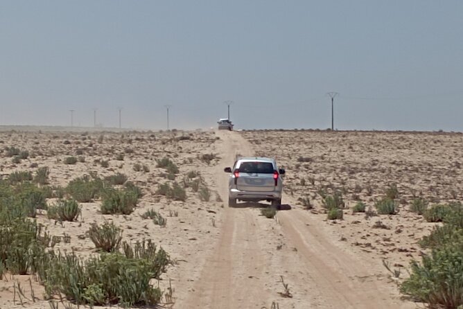 National Park & Sahara Day Trip With Food - Reviews and Customer Feedback