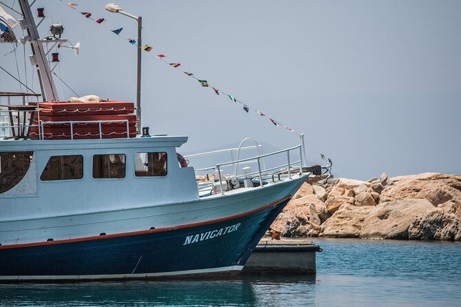 Naxos and Schinoussa Cruise With BBQ Lunch Included - Traveler Participation Guidelines