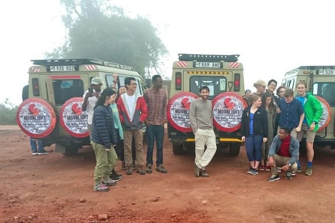 Ngorongoro Crater Day Trip - Customer Reviews and Experiences