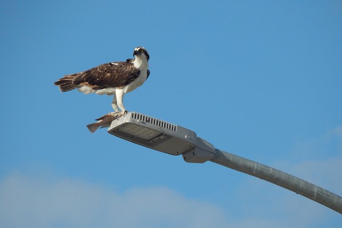 Nichupte Lagoon Wildlife Tour - Participant Guidelines
