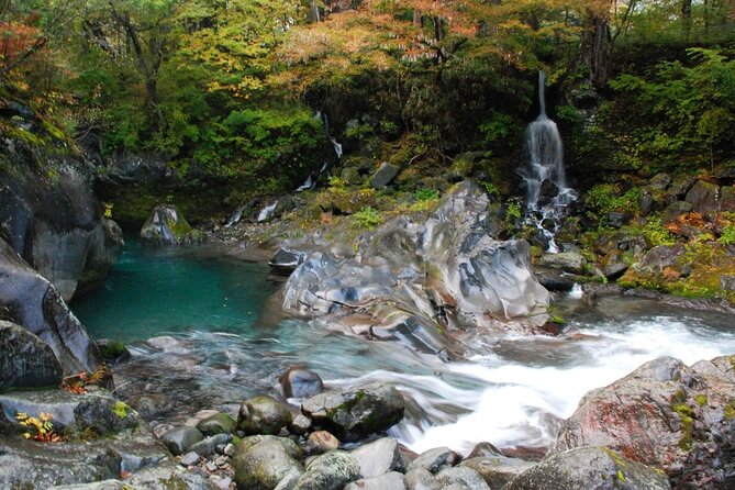 Nikko Private SightSeeing Day Tour (From Tokyo) - Pricing
