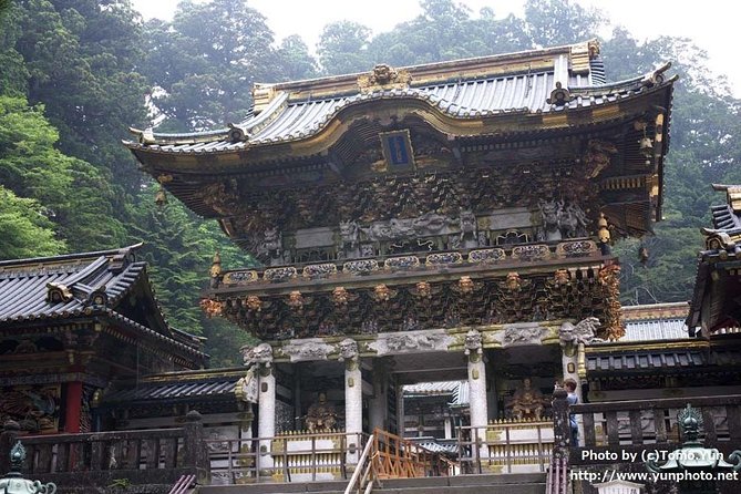 Nikko World Heritage 1 Day Tour - Customer Experiences