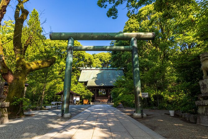 Ninja, Samurai, Odawara Castle Experience - Meeting Point and Transportation Options
