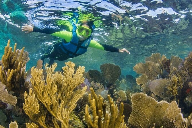 Nizuc Reef Snorkel Experience - Tips for a Great Experience