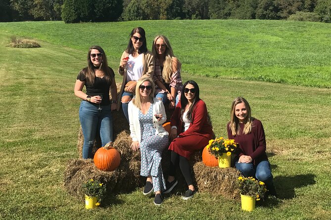 North Georgia Mountains Three Vineyard Wine Tasting Tour - Wineries Visited