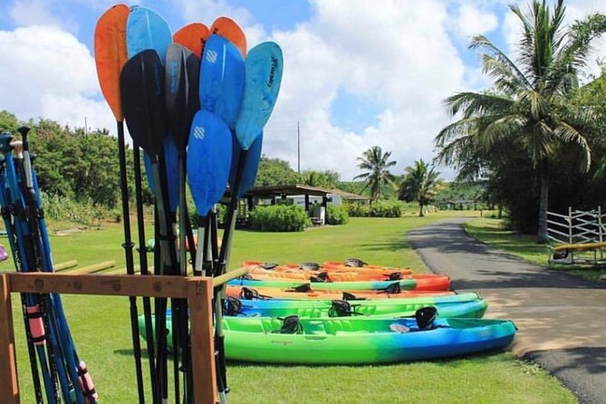 North Shore Farm: Anahulu River, Kayak-Sup, Turtles, Lunch & More - Accessibility and Health Requirements