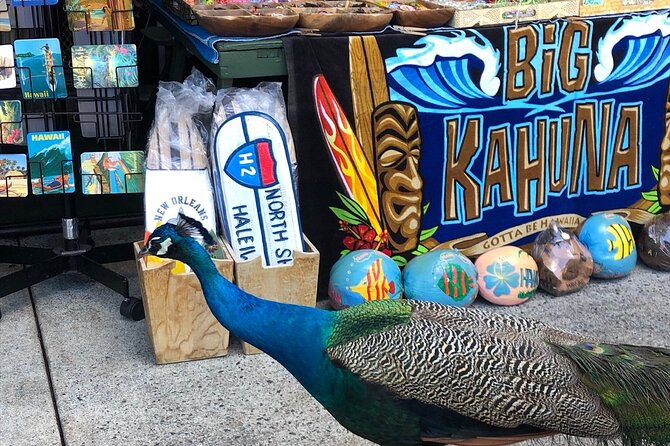 North Shore / Waimea, Falls Day & Swim With Turtles - Shopping Opportunities
