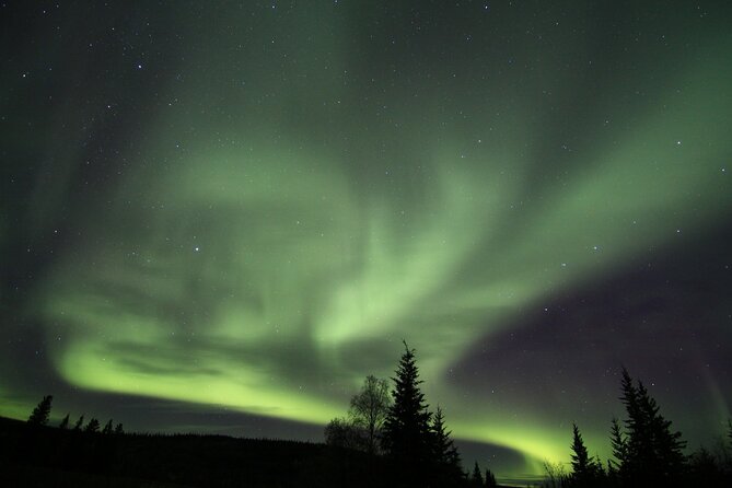 Northern Lights Murphy Dome Viewing in Fairbanks - Booking and Availability