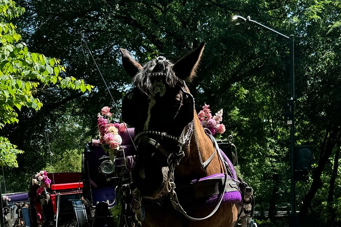 NYC Empire State Horses Carriage Ride in Central Park (45 Mins) - Customer Feedback