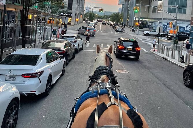 NYC Horse and Carriage Central Park Tours - Tour Highlights