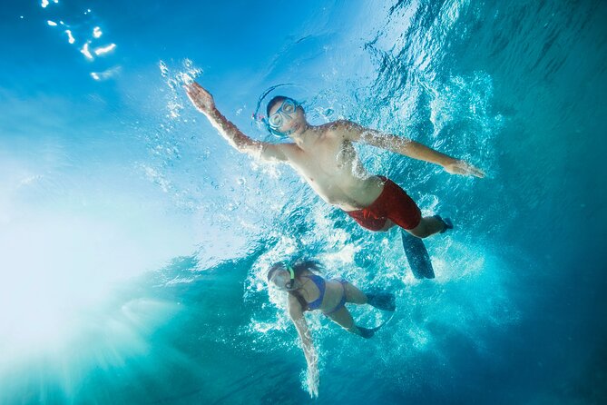 Oahu Coastline Cruise: Turtle Snorkeling and Jumping Platform - Health and Safety Considerations