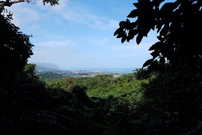 Oahu Hidden Waterfall Hike: A Tropical Paradise Adventure - Traveler Reviews