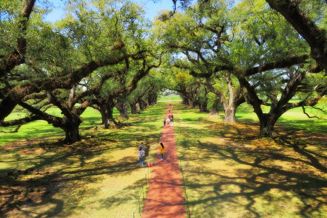 Oak Alley Plantation Tour With Transportation From New Orleans - Exploring the Grandeur of Oak Alley Plantation