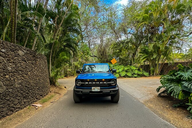 Off Road Coastal Tour 4x4 Vehicle With Snorkel, Photo and Video - Customer Reviews and Experience