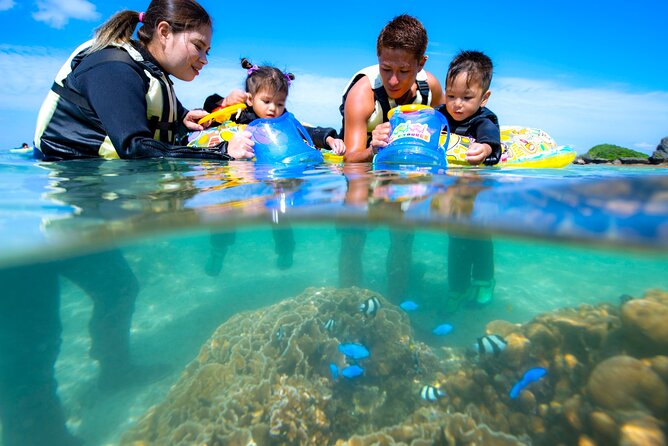 OK From 2 Years Old! / Sea Picnic & Snorkel - Reviews and Ratings