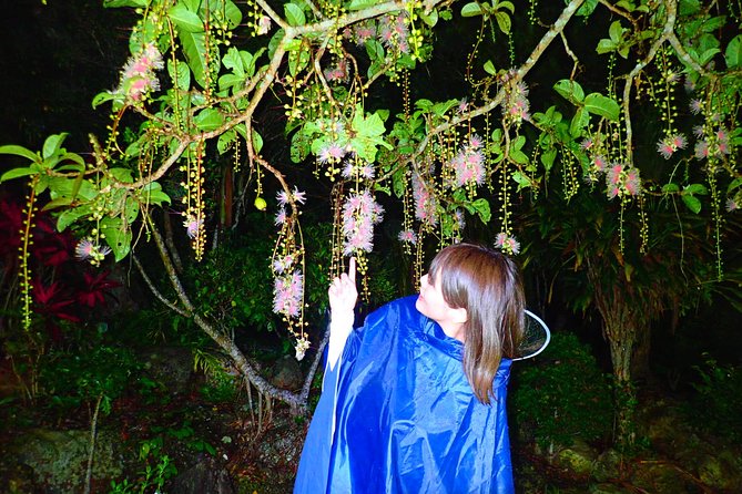 Okinawa Iriomote Sagaribana Watching Tour June to August Only - Sagaribana Watching Experience