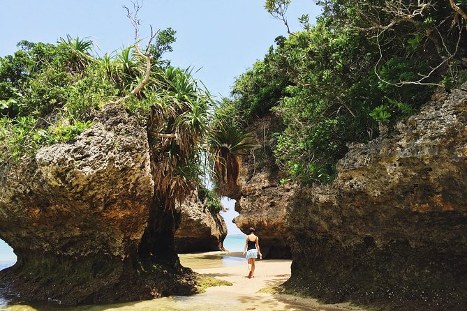 Okinawa Private Customizable Full Day Tour by Private Vehicle - Preparation and Guest Requirements