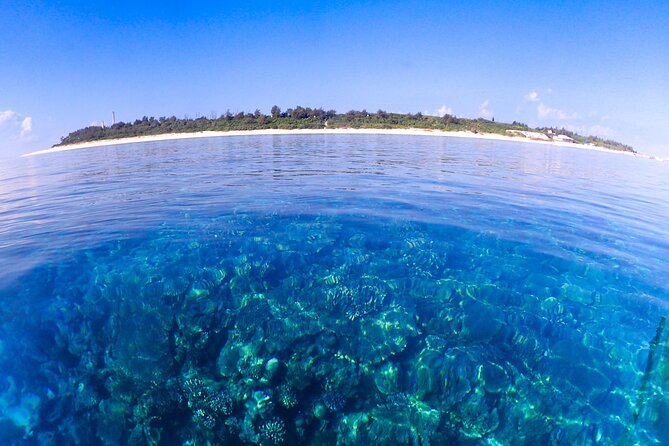 Okinawa Scuba Diving for Certified Divers (3 Boat Dives + Lunch) - Dining and Refreshments