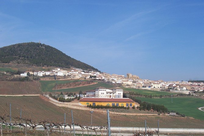 Olive Oil and Navarre Winery Visit With Tastings and Lunch in Small Group Tour - Transportation and Pickup