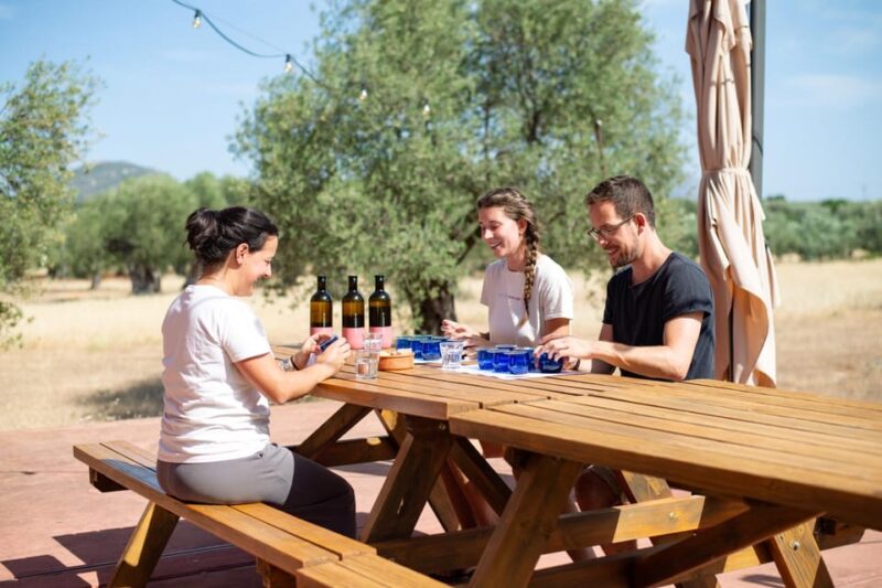 Olive Oil Tasting: Secrets From Ancient Olive Groves - Participant Information