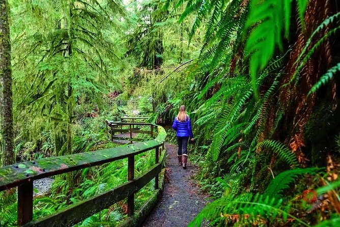 Olympic National Park Audio Tour Review - Highlights and Experiences