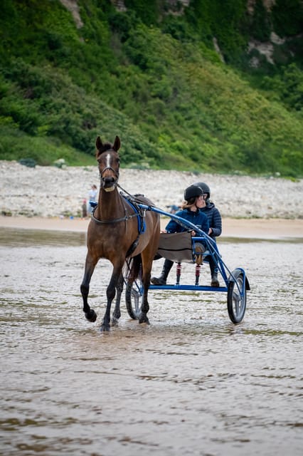 Omaha Beach: Sulky Baptism on the Beach - Crossing the Legendary Omaha Beach