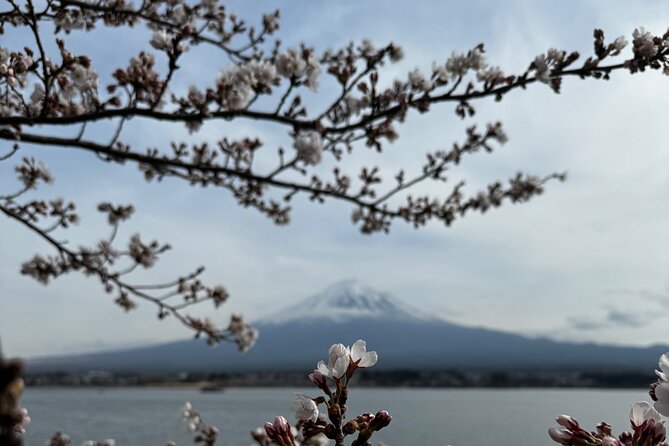 One Day Mountain Fuji & Hakone Tour With English Hindi Bilingual - Highlights of the Tour