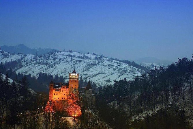 One Day Tour Dracula Castle. Libearty Bear Sanctuary. From Brasov - Tips for Travelers