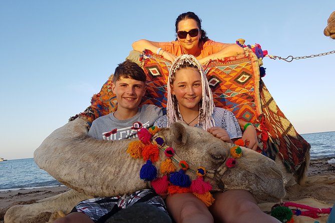 One Hour Camel Ride at Amazing Marsa Alam Desert With Transfer - Marsa Alam - Guest Experiences